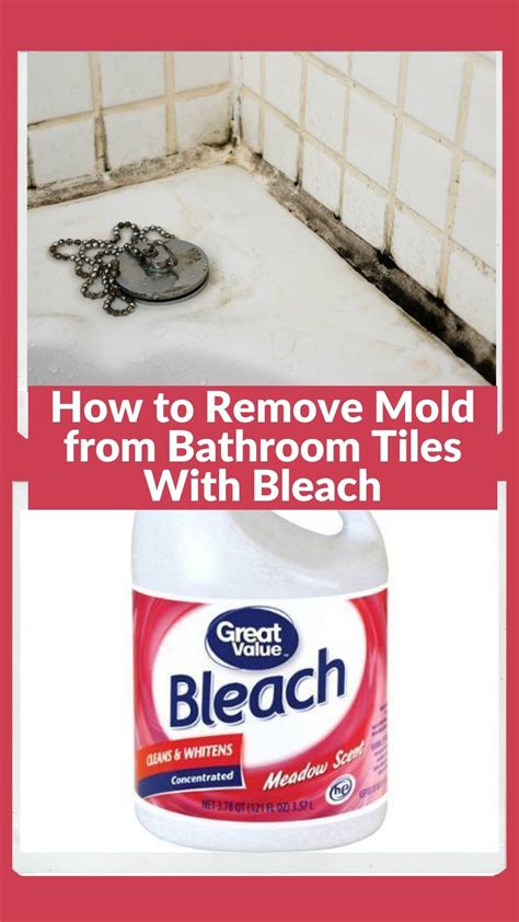 How To Remove Mold From The Bathroom Tiles With Bleach Mold Remover