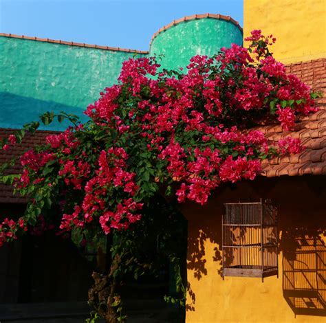 RÊU | RÊU Hotels & Restaurants