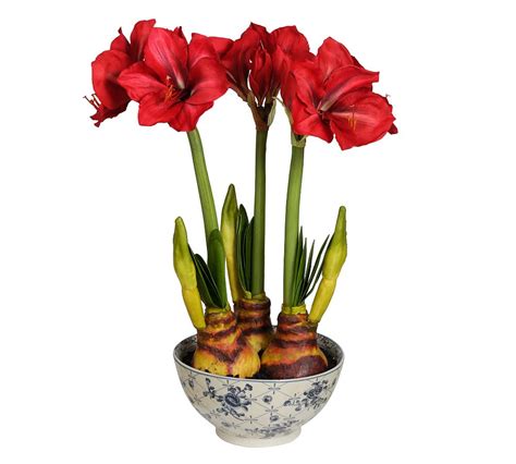 Faux Amaryllis In Ceramic Pot Redgreen Pottery Barn