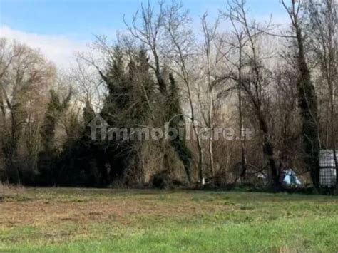 Asta Per Terreno Agricolo Via Luigi Einaudi Sant Angelo Lucca Rif