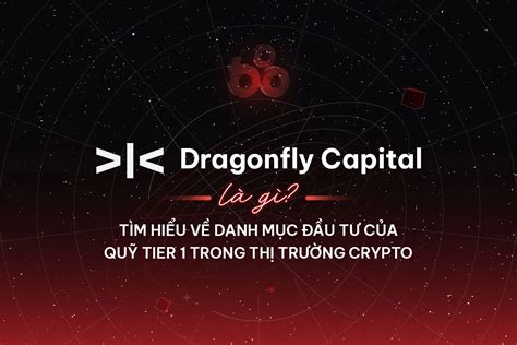 Dragonfly Capital là gì Tìm hiểu về danh mục đầu tư của quỹ Tier 1