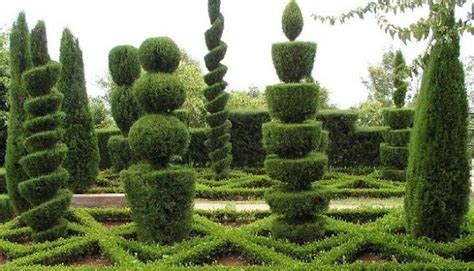 Figuras Con Arbustos Poda Ornamental O Poda Topiaria Terrazas Y