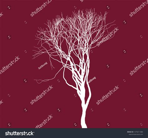 Naked Tree Silhouette Fine Detailed Realistic