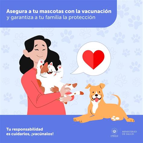 Ministerio De Salud On Twitter Vacunar A Perros Y Gatos Previene La