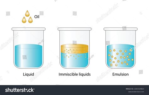 Emulsion Mixture Two Immiscible Liquids Oil Stock Vector Royalty Free