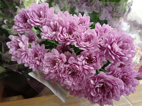 Mobile-review.com Обзор смартфона BQ-6000L Aurora