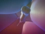 Cinematic Hentai Uncensored Animation Virtualporn Xxx Mobile Porno Videos Movies IPornTV Net