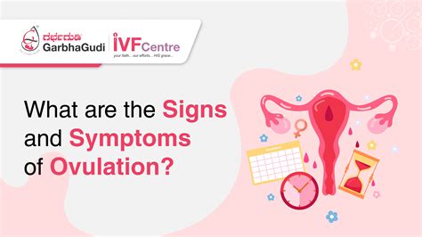 What Are The Signs And Symptoms Of Ovulation