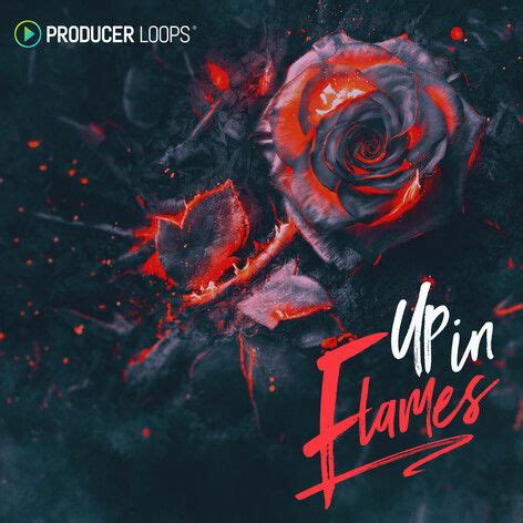 Royalty Free Loops and Samples to Download | Producer Loops
