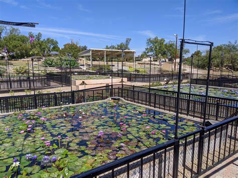 San Angelo | TX Almanac