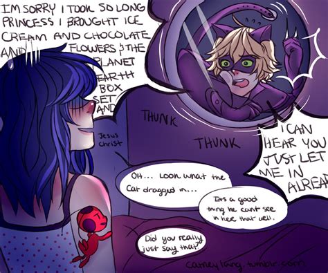 Miraculous Ladybug Memes Miraculous Ladybug Comic Miraculous Ladybug Fan Art