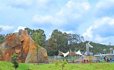 Flor Del Bosque El Nuevo Lugar Para Hacer Camping En Puebla El