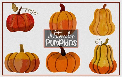 Watercolor Pumpkins Sublimation Png Graphic By Skalling Dygital