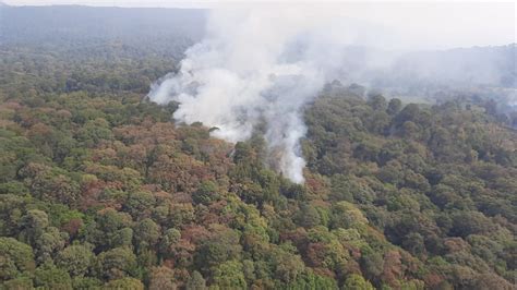 México Tiene 73 Incendios Forestales Activos Suman 15 Mil Hectáreas