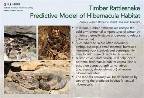 Timber Rattlesnake Population And Community Ecology Pace Lab