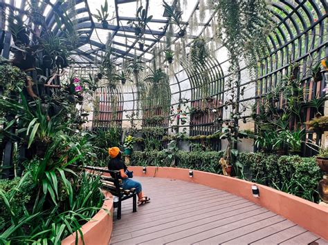 Botanical Garden Baguio City 2025 Updated Travel Guide