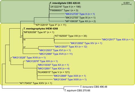 Trichophyton Mentagrophytes T Interdigitale Species Group Isolates