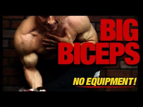 Back And Bicep Workout At Home No Equipment Eoua Blog