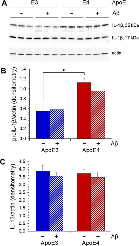 Amyloid β Peptide Effects On Glucose Regulation Are Dependent On