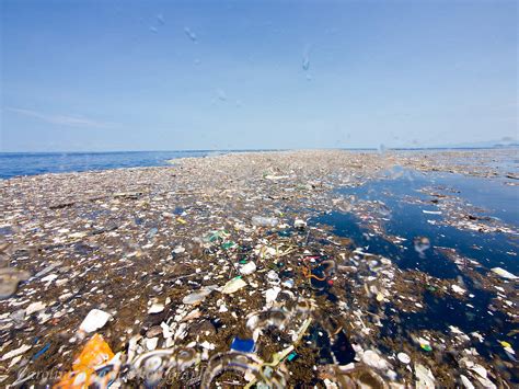 Plastikkrise Wie Plastikmüll im Meer ganze Ökosysteme bedroht WWF