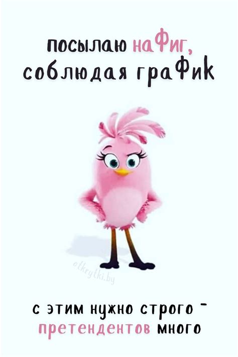 Открытки и прикольные картинки ЧТОБЫ ПОСЛАТЬ