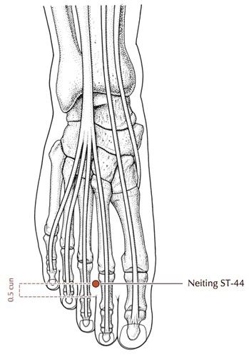 Acupuncture Board Flashcards Quizlet