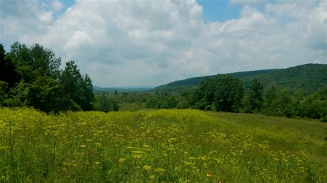 Nearly 200 Acres of Appalachian Trail Views in Massachusetts Protected ...