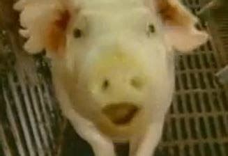 Worlds First 3D Porn Is Huge Success In China VIDEO