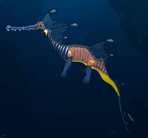 Water Dragon Concept Art By Juuxmiko On Deviantart