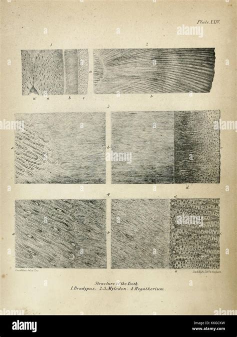 Gigantische Karte Fotos Und Bildmaterial In Hoher Aufl Sung Seite