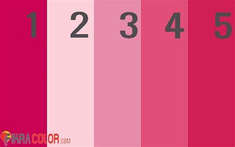 Pink Color Shades In Paint