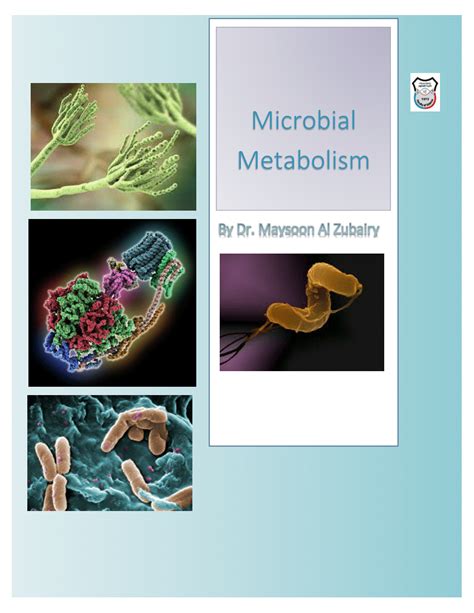 Pdf Microbial Metabolism By Dr Maysoon Al Zubairy