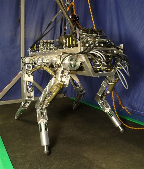 The Hyq Hydraulic Quadruped Robot