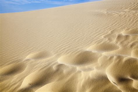 Anna Bay sand dunes | Alex Sievers Photography