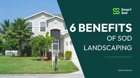 The Top 6 Benefits of Sod Landscaping - Smart Sod