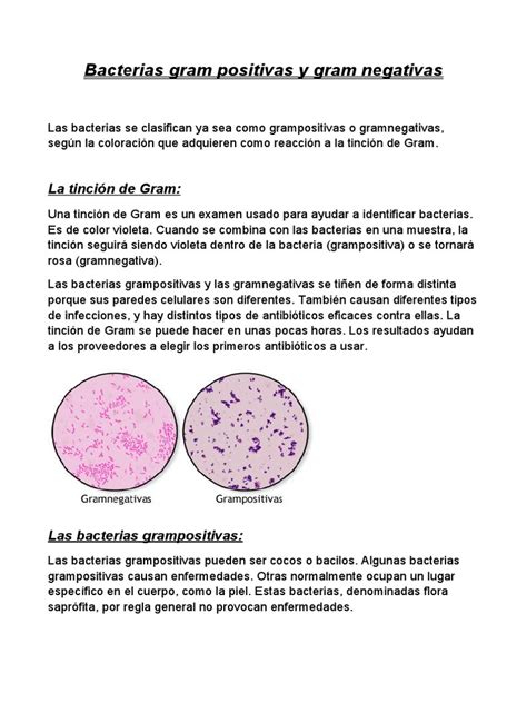Bacterias Gram Positivas Y Gram Negativas Pdf