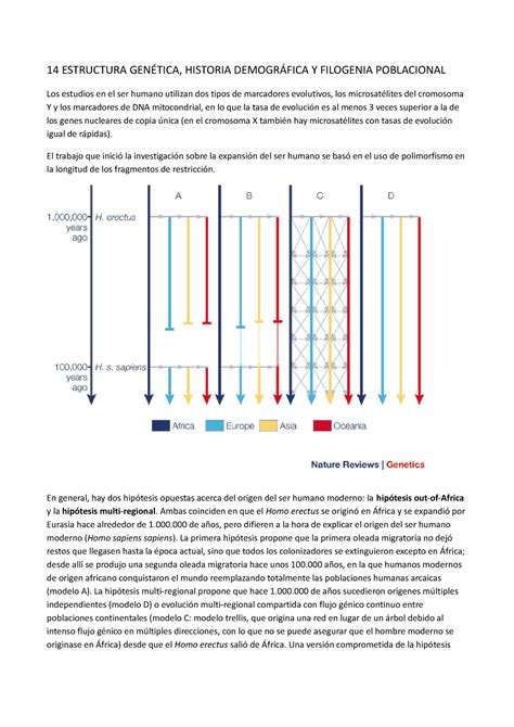 Tema 14 Resumen Xenética de poboacións e evolución 14 ESTRUCTURA