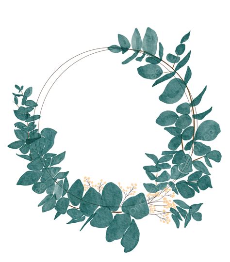 Green Eucalyptus Wreath Leaves With Berries Illustration Watercolor