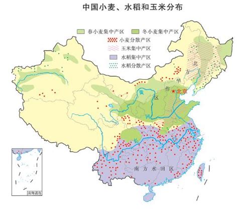 中国小麦、水稻和玉米分布图中国地理地图初高中地理网