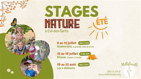 Stages cours Enfants Divers Stage nature été Cul des Sarts Namur