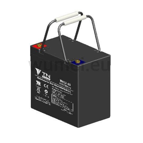 12V 55Ah AGM Battery Tianneng TN12 55 Deep Cycle WUMEI