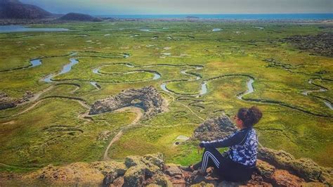 Así Son Los Impresionantes Humedales De San Quintín