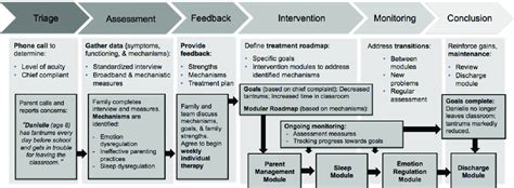 Overview Of A Proposed Transdiagnostic Assessment And Intervention Download Scientific Diagram