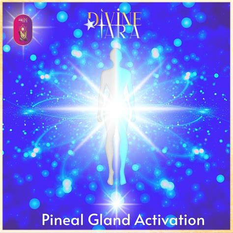 Pineal Gland Activation – Divine Tara Healing