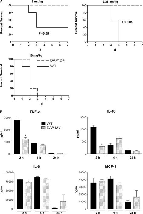 Dap12 Signaling Augments Mortality And Inflammatory Cytokine Levels