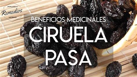 Beneficios Medicinales De La Ciruela Pasa Youtube