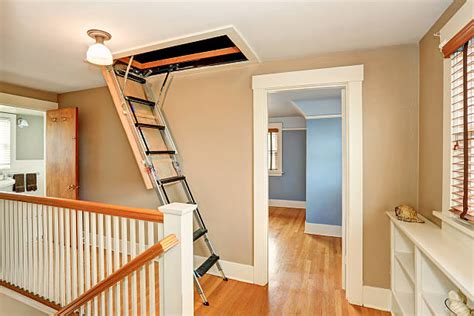 Attic access doors with ladder - kobo building