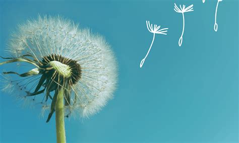S'implanter dans un nouveau segment de marché