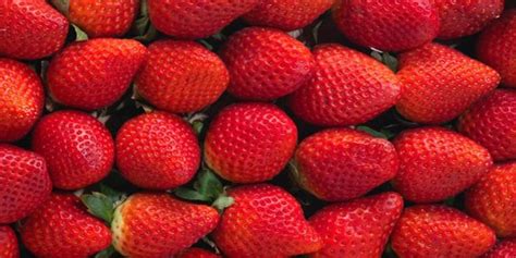 Propiedades De Las Fresas Frutashrg