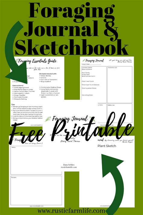 Foraging Journal And Sketchbook Free Printable Homeschool Worksheets